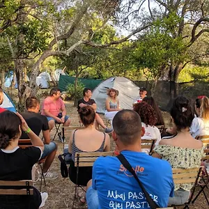  Kemp The Sea Turtle Camp